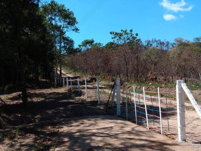 #4866 - Sítio para Venda em Bom Jesus dos Perdões - SP - 3