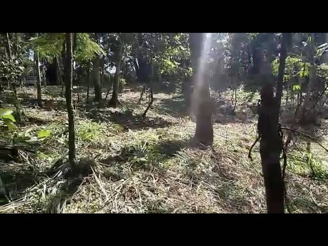 #5093 - Terreno para Venda em Nazaré Paulista - SP - 2