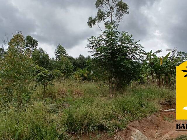 #3743 - Terreno para Venda em Nazaré Paulista - SP