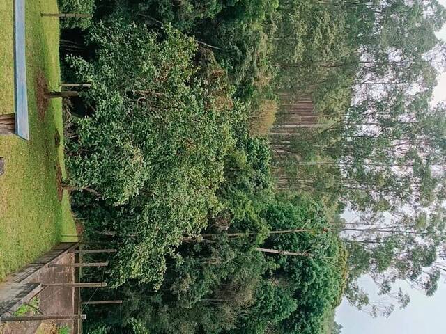 #3756 - Sítio para Venda em Nazaré Paulista - SP - 3