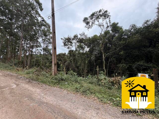 Sítio para Venda em Nazaré Paulista - 5