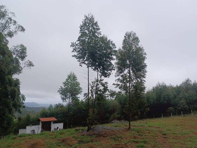 Terreno para Venda em Nazaré Paulista - 2