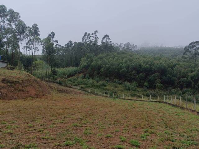 Terreno para Venda em Nazaré Paulista - 3