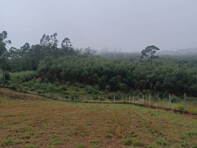 Terreno para Venda em Nazaré Paulista - 4